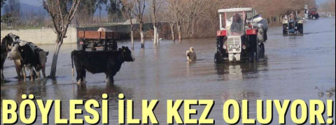 Böylesi ilk kez oldu! Kimse bir şey yapamıyor