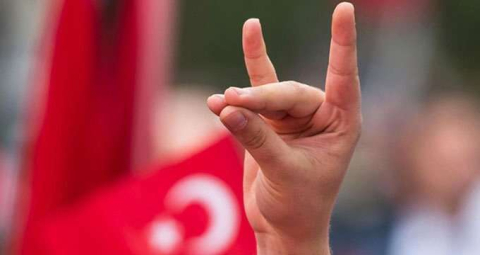 Türkiye'den 'Bozkurt' işaretini yasaklayan ülkeye sert tepki