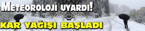 Kar yağışı  başladı!