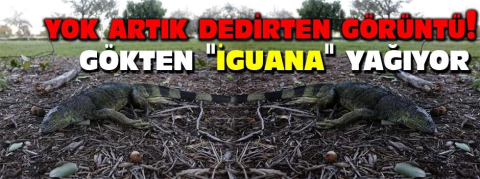 Yok artık dedirten görüntü!